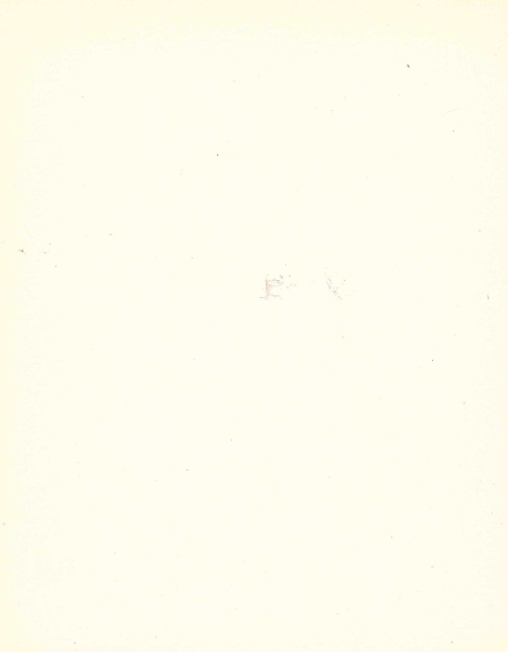 Image with filename bos12.jpeg