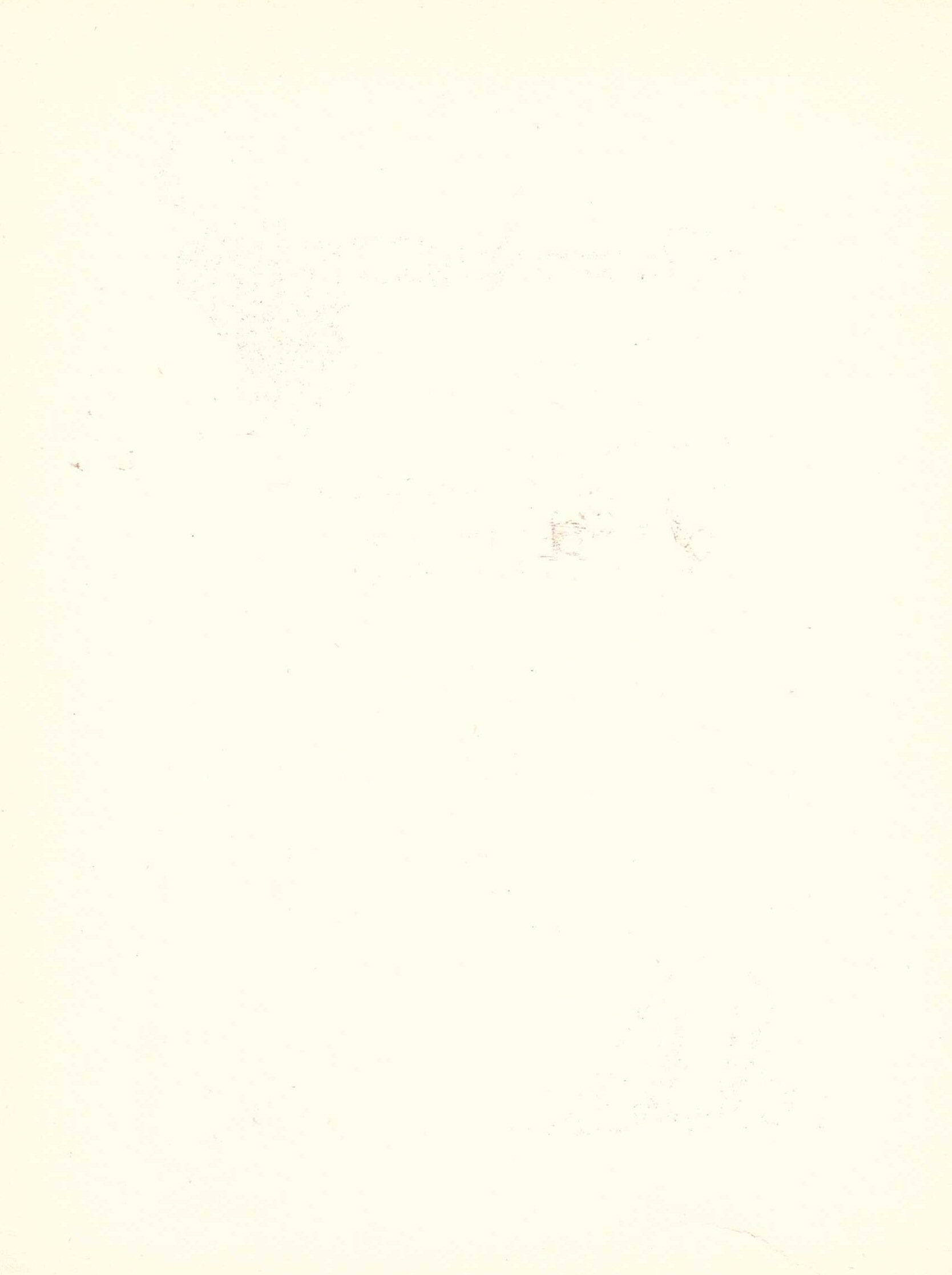Image with filename bos6.jpeg