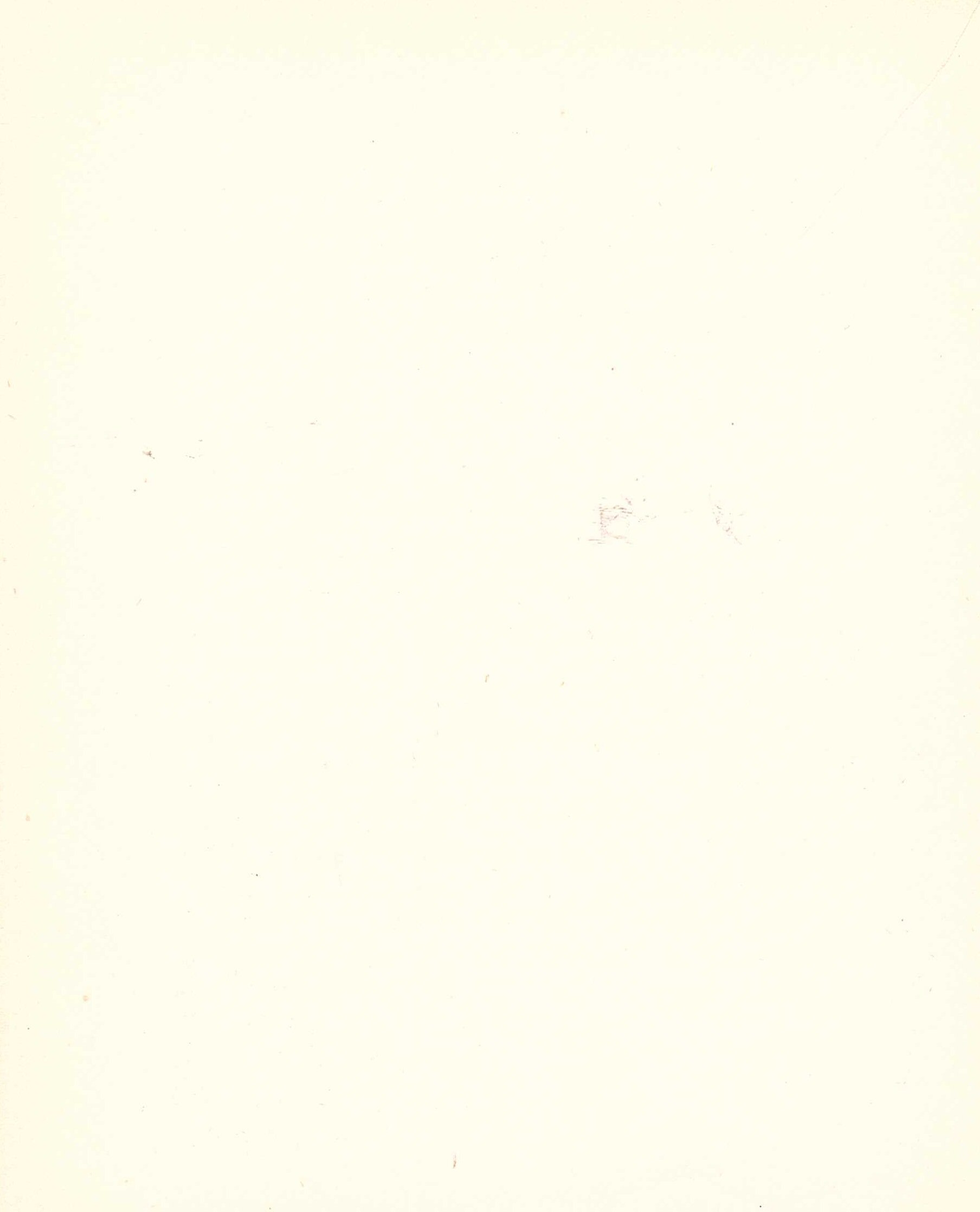 Image with filename bos8.jpeg